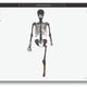 Screenshot of the Tsukumo 24 BodyMap 3D web app showing the distribution of wounds. The app was developed by John Pouncett, Rick J. Schulting, and J. Alyssa White using a modified version of the BodyParts3D model.